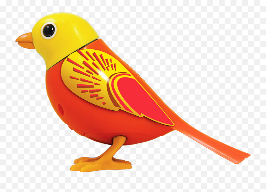 Index Of Digibirdsp02resourceswebsitecommonimages - Robin Png,Sun Beam Png