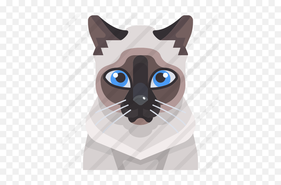 Cat - Siamese Cat Icon Png,Kitty Icon