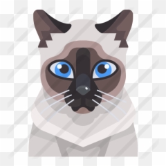Cat - Siamese Cat Icon Png,Kitty Icon