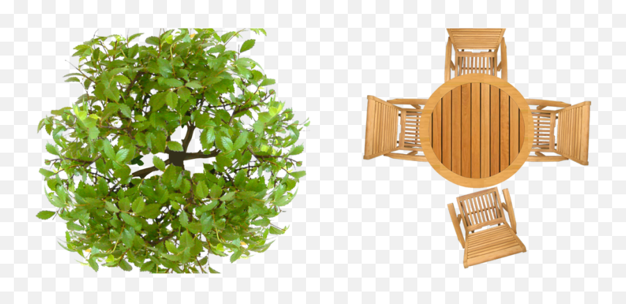 Tree Plan View Photoshop Texture Png - Top View Outdoor Furniture Png,Tree Plan Png