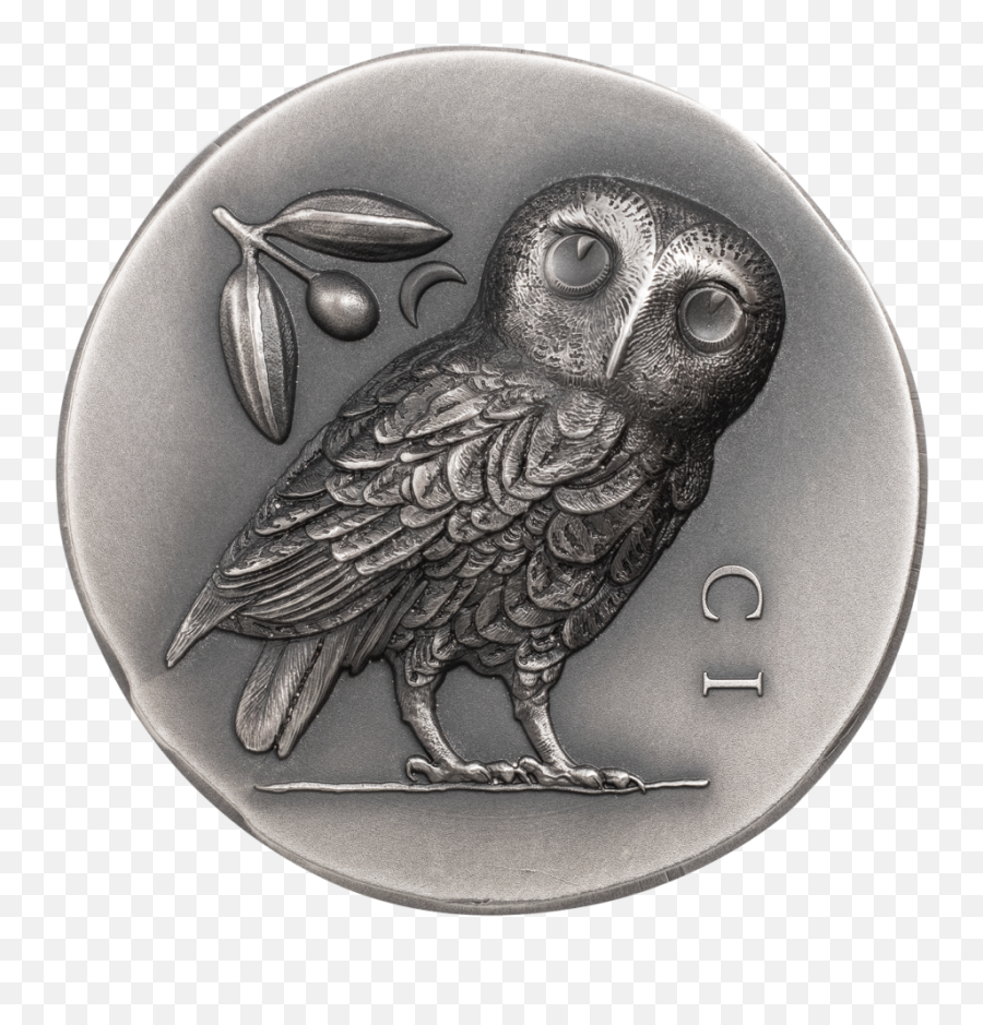 Athenau0027s Owl U2013 Cit Coin Invest Ag - Little Owl Png,Athena Icon
