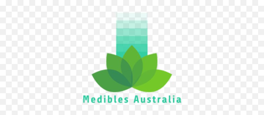 Butter Recipes Medibles Australia - Language Png,Salt Sanctuary Icon