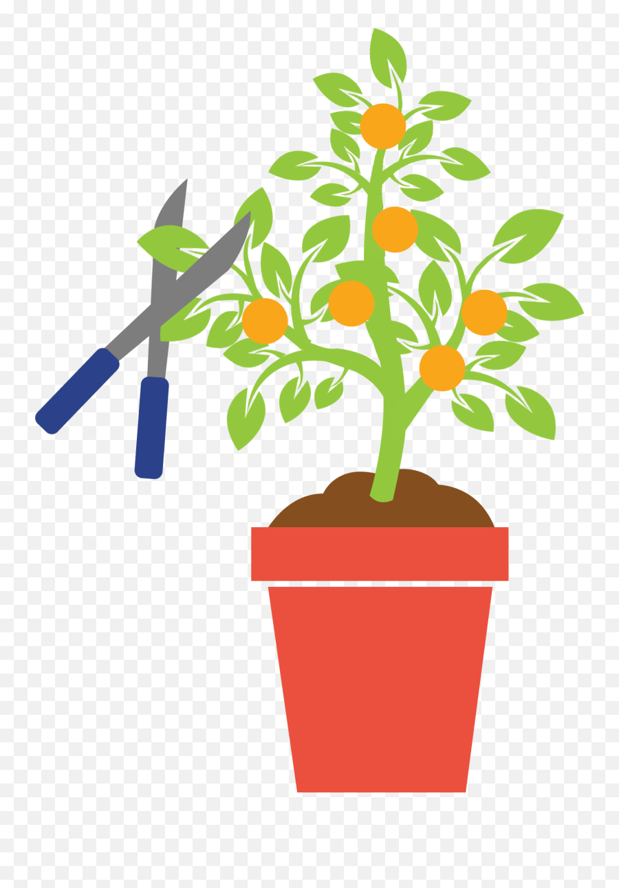Easy To Maintain Png Plant Icon Vector