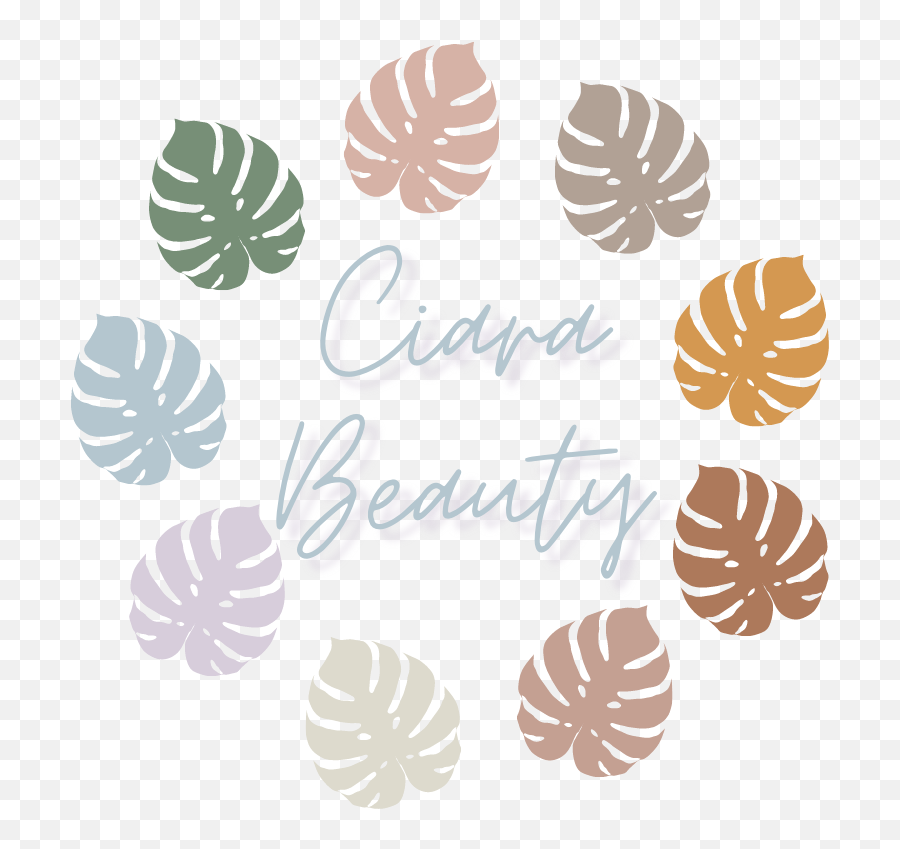 Christmas Present Ideas U2014 Ciara Beauty - Decorative Png,Fossil Enamel Icon Valet