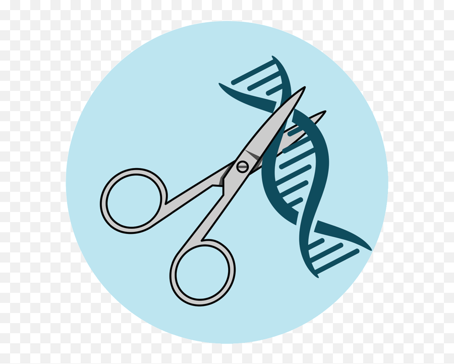 Another Year Of Pharma - Surgical Scissors Png,Forever Alone Icon