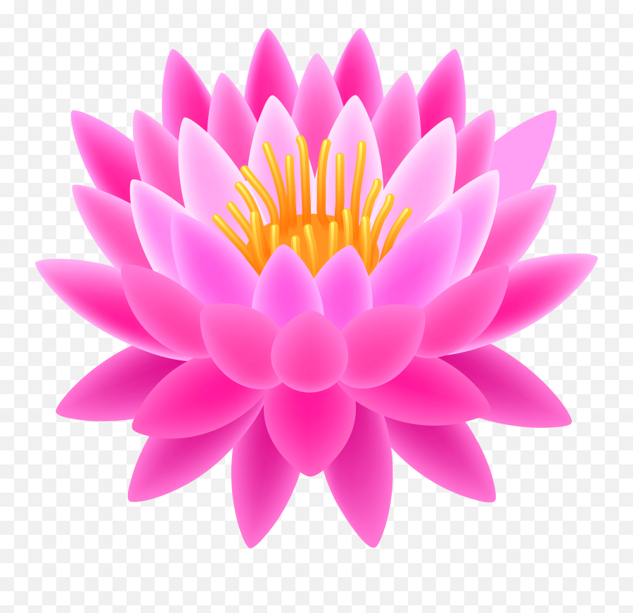 Pink Lotus Transparent Png Clip Art Image - Lotus Flower Hd Png,Flower Background Png