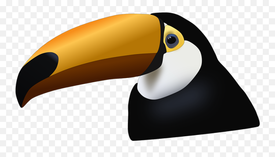 Toucan - Tucano Png,Tucan Png