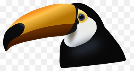 Toucan - Tucano Png,Tucan Png
