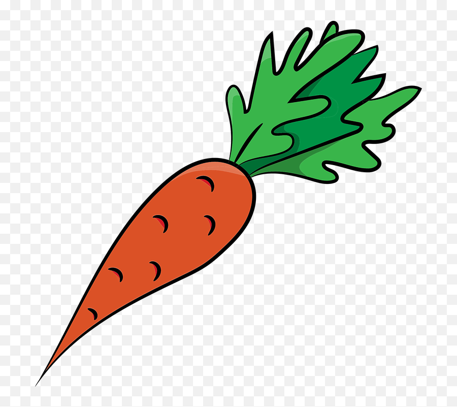 Carrots Carrot Vegetables - Sketsa Gambar Wortel Png,Carrots Png