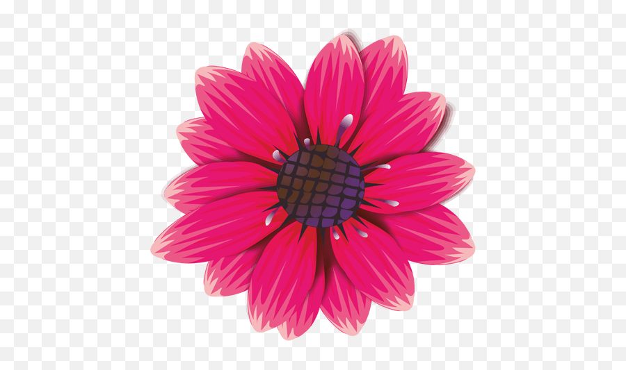 Maroon Flower Cartoon - Pink And Fuchsia Flowers Png,Flower Cartoon Png