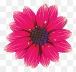 Maroon Flower Cartoon - Pink And Fuchsia Flowers Png,Flower Cartoon Png