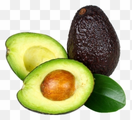 Avocado Png Download - Avocado Oil Png,Avocado Transparent Background