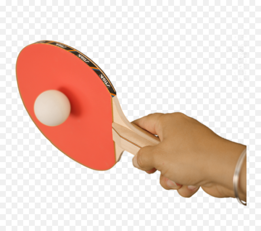 28 Ping Pong Png Images For Free Download - Person Holding Ping Pong Paddle,Paddle Png