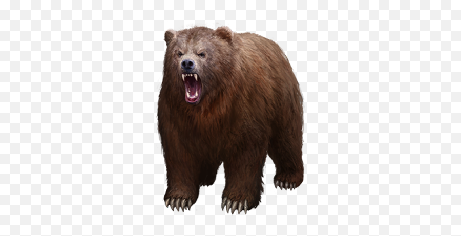 Download Bear Png Image For Free - Bear Roar Transparent Background,Grizzly Bear Png