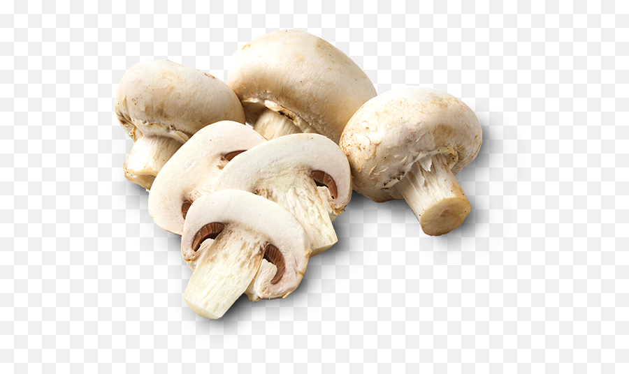 Download Mushrooms - Champignon Mushroom Png Image With No Transparent Background Sliced Mushroom Png,Mushrooms Png