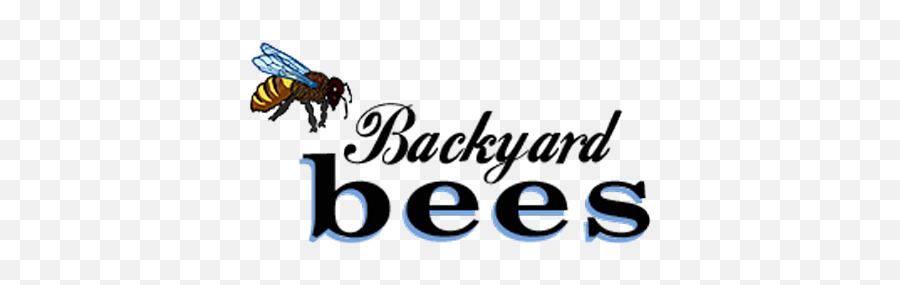 Backyard Bees Nyc U2013 Skin Sweetnessu2026inspired By Nature - Honeybee Png,Transparent Bees
