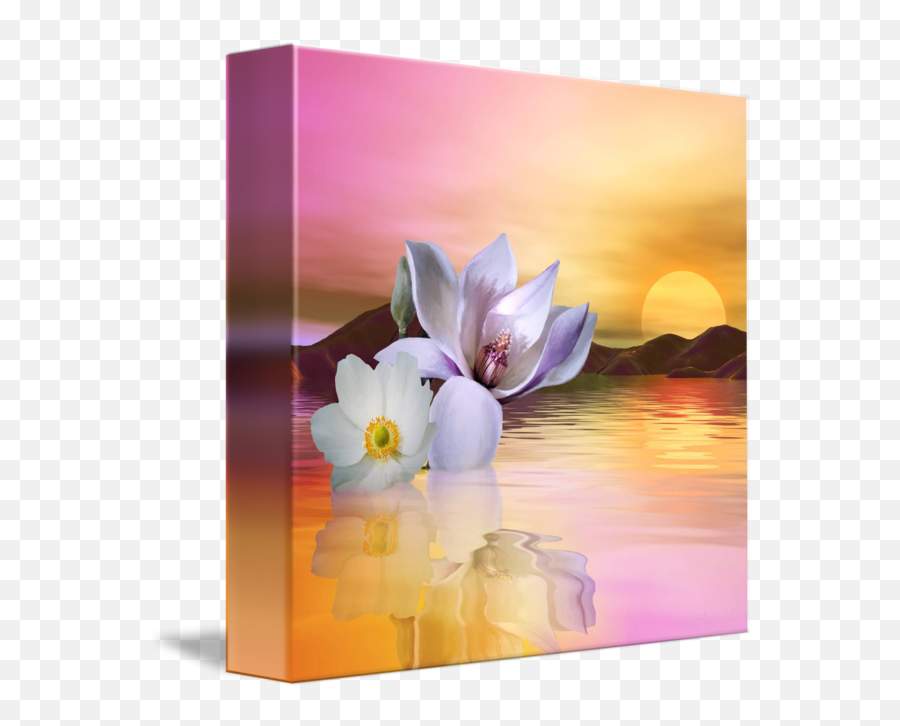 Floating Anemone And Magnolia By Anne Vis - Sacred Lotus Png,Anemone Png