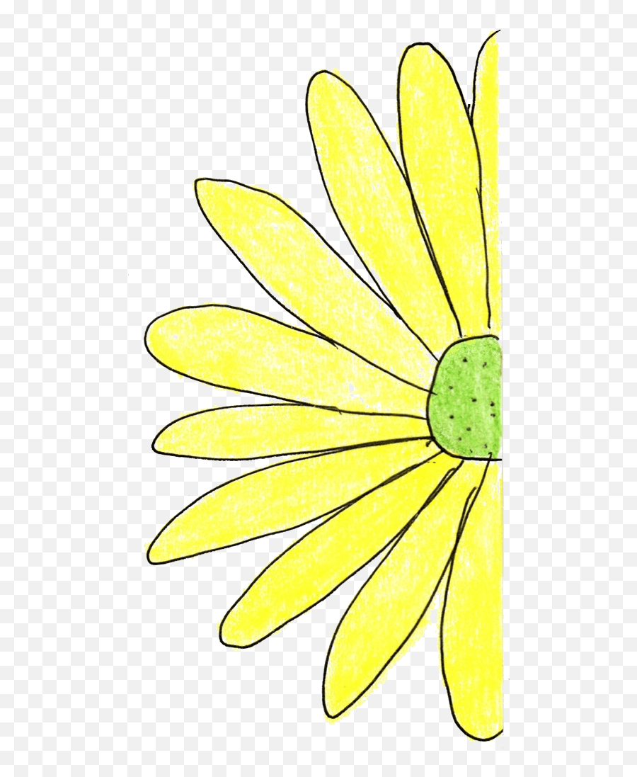 Half Flower Transparent Daily Tarot Girl - African Daisy Png,Yellow Flower Transparent
