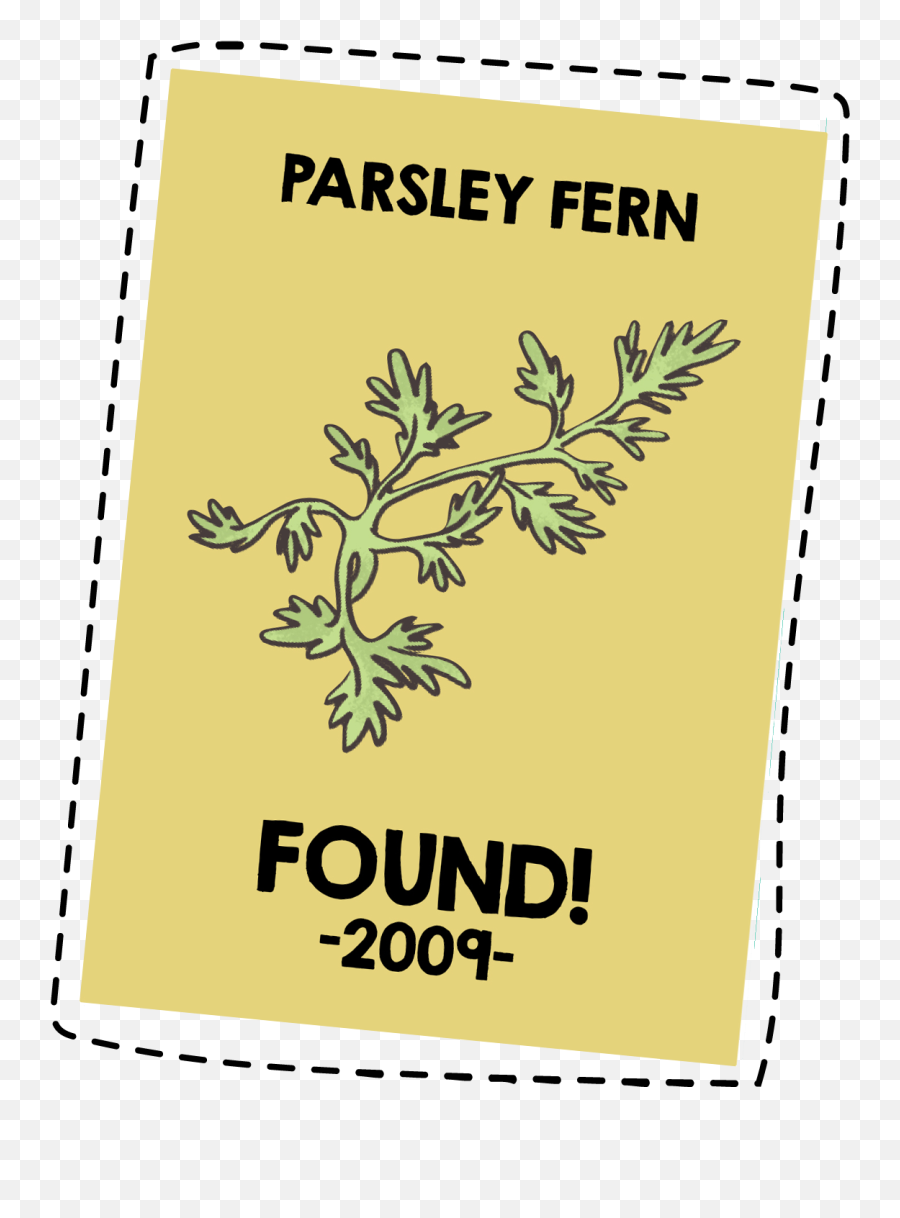 Parsley Fern - Lost U0026 Found Positive Conservation Storytelling Clip Art Png,Ferns Png