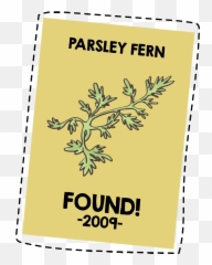 Parsley Fern - Lost U0026 Found Positive Conservation Storytelling Clip Art Png,Ferns Png
