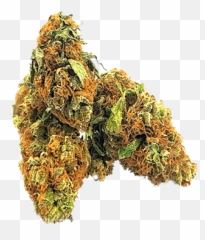 Amnesia Haze - Amnesia Haze Png,Haze Png