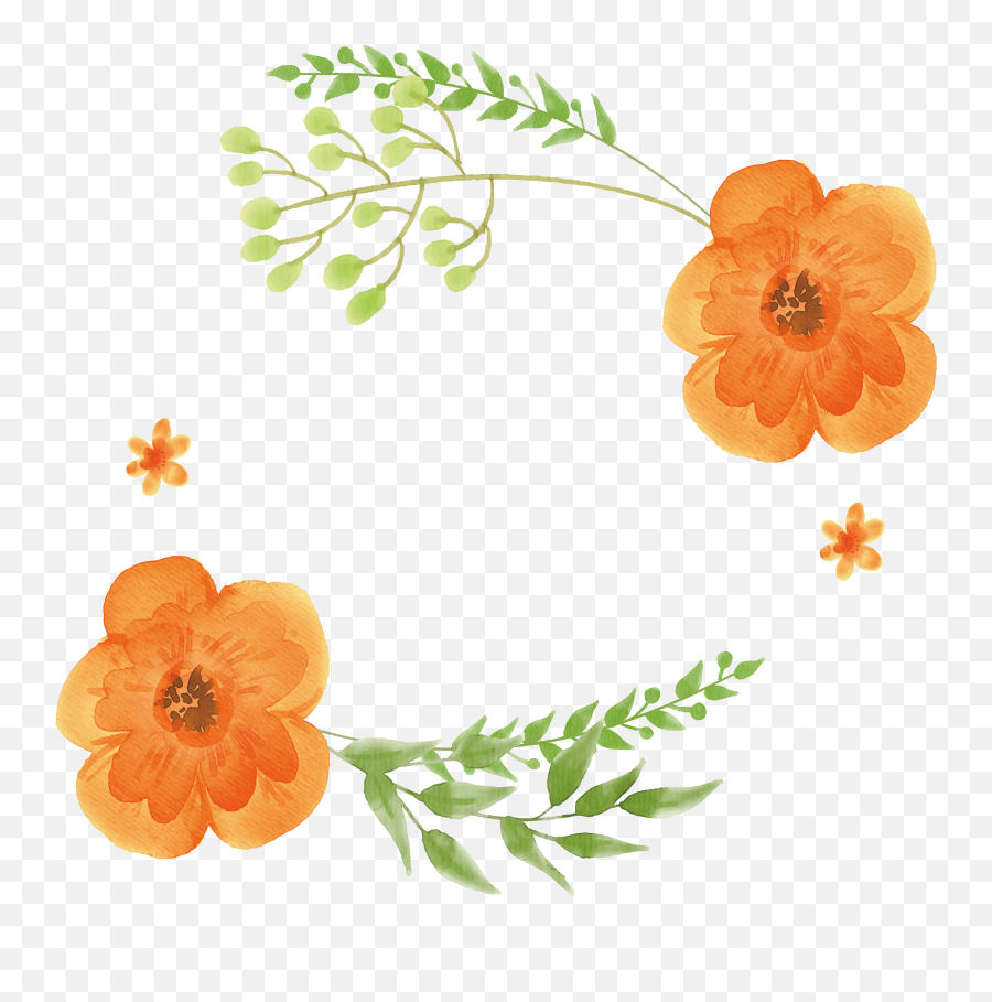 Free Watercolor Png - Watercolor Flower Orange Color,Watercolor Flower Png