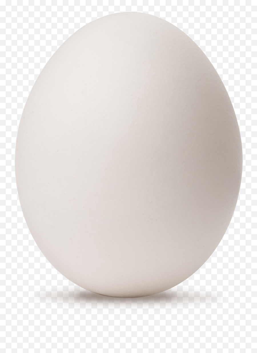 Egg White Powder - Dot Png,White Powder Png