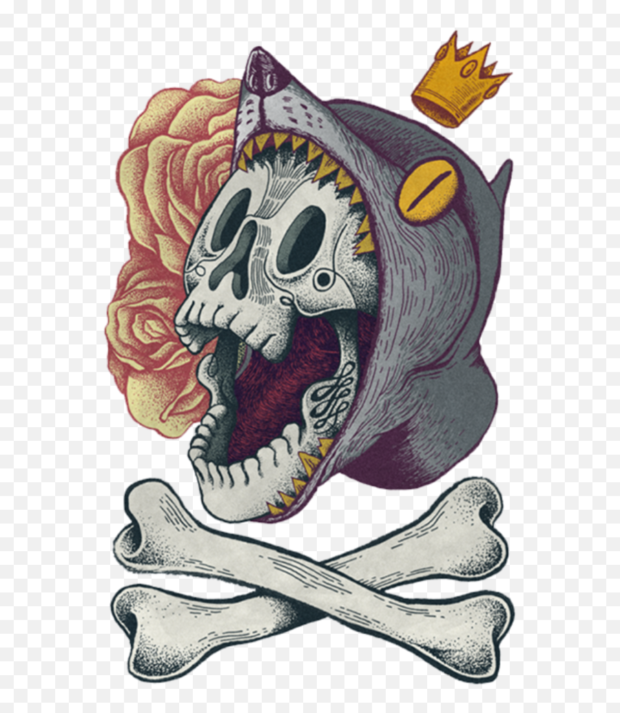 Download Hd Wolf Skull Freetoedit - Illustration Png,Wolf Skull Png