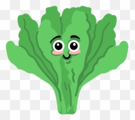 Lettuce Salad Flat - La Quercia Di Rosa png