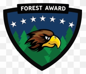 Woodlands Trail To Knowledge - Trail Life Fox Forest Award Png,Trail Life Logo