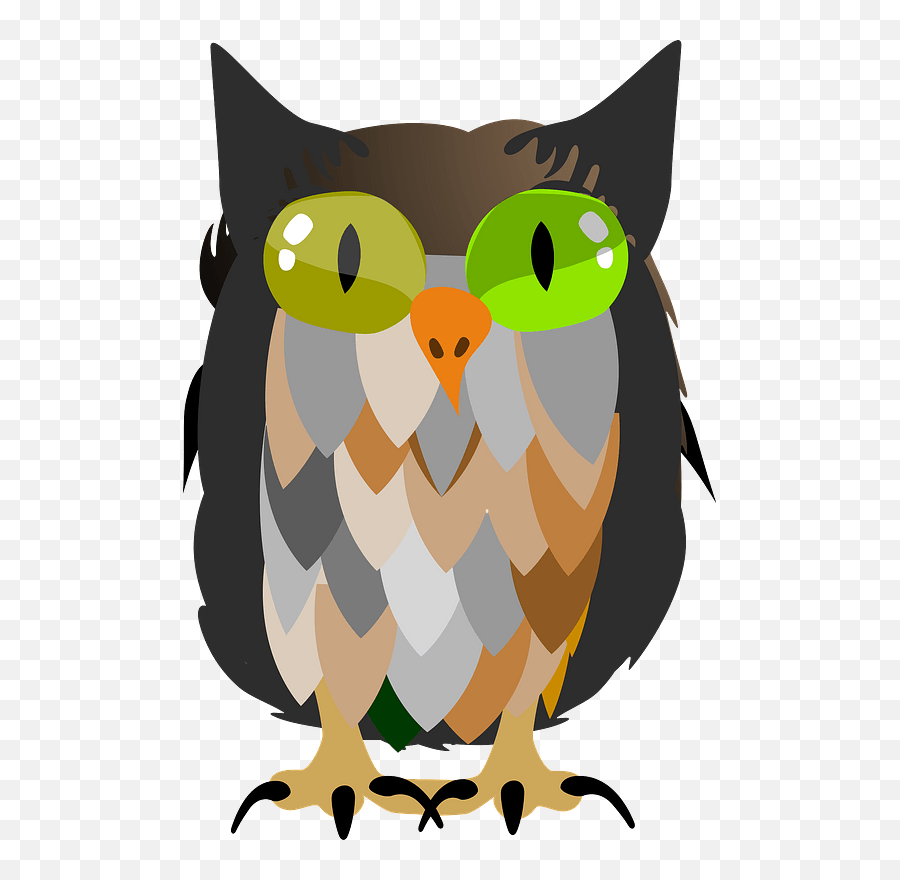 Owlbird Of Preybeak Png Clipart - Royalty Free Svg Png,Prey Png