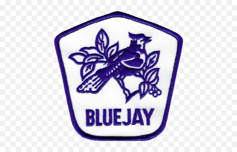 Blue Jay - Camp Liloli Bird Png,Blue Jays Logo Png