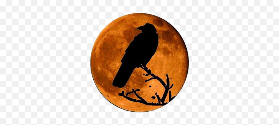 Google Image Result For Httpofficialpsdscomimages - Raven In The Moon Png,Halloween Moon Png