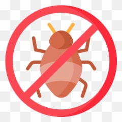No Bugs - Free Signaling Icons Get Rid Of Coronavirus Png,Bugs Png