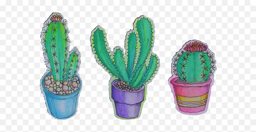 Plants Cactus Transparent Artists - Cactus Transparent Png,Cacti Png
