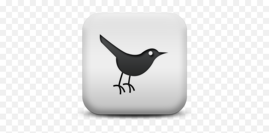 The Farmers Market - Tortured Orchardtortured Orchard Bird Icon Black Png,Khazix Icon