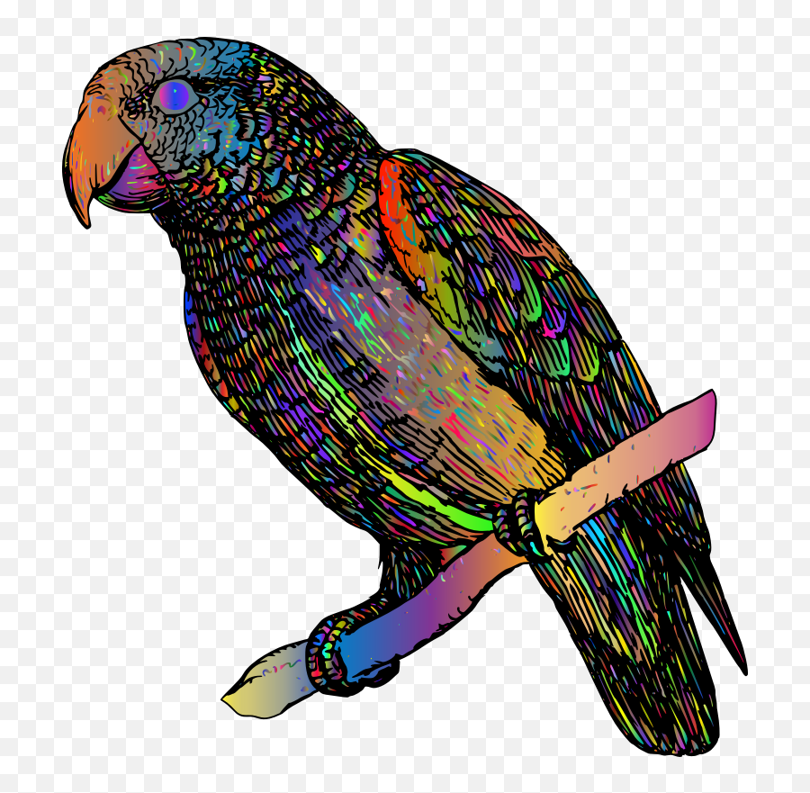 Openclipart - Clipping Culture Purple Parrot Drawing Png,Purple Parrot Icon