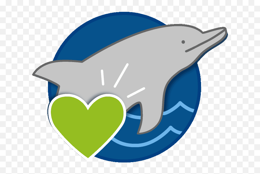 Donate To Ocean Conservation Society Via Amazonsmile - Common Bottlenose Dolphin Png,Amazon.com Icon