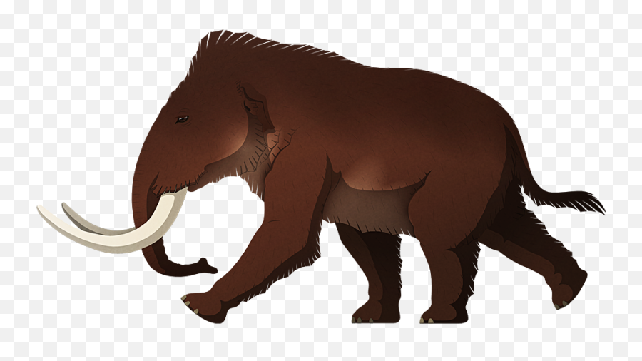 Insular Dwarfism U2013 Nix Illustration - Pygmy Elephant Mediterranean Png,St Phanourios Icon