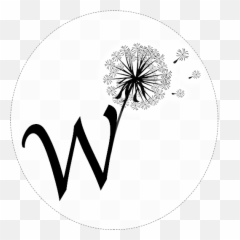 Hd Wish Logo Png Transparent Image - Planets From Smallest To Largest,Wish Logo Png