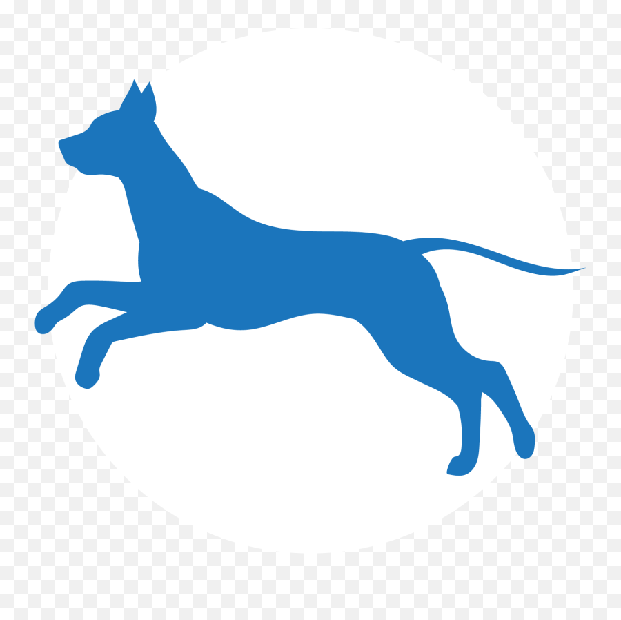 Wonder Dog Training - Automotive Decal Png,Military Training Game Icon