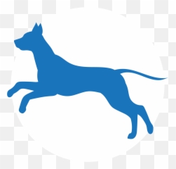 Wonder Dog Training - Automotive Decal png