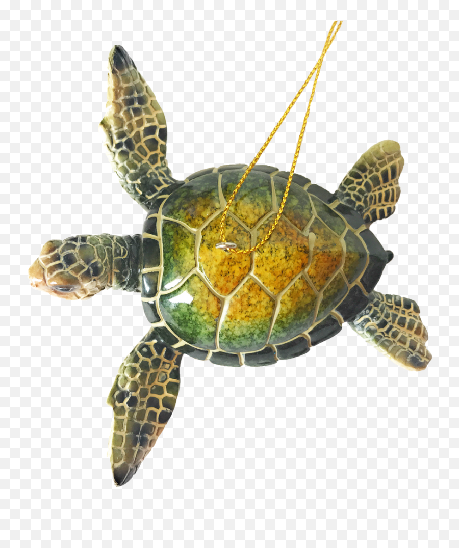 Christmas Ornaments - Handpainted Green Sea Turtle Loggerhead Sea Turtle Png,Turtle Shell Icon