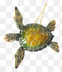 Christmas Ornaments - HandPainted Green Sea Turtle Loggerhead png