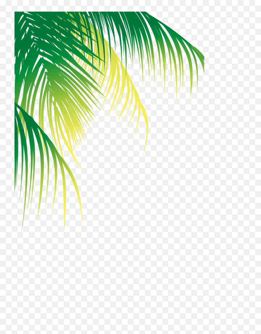 Palm Tree Border Png - Coconut Tree Leaf Vector,Tropical Plants Png