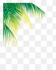Palm Tree Border Png - Coconut Leaf Vector