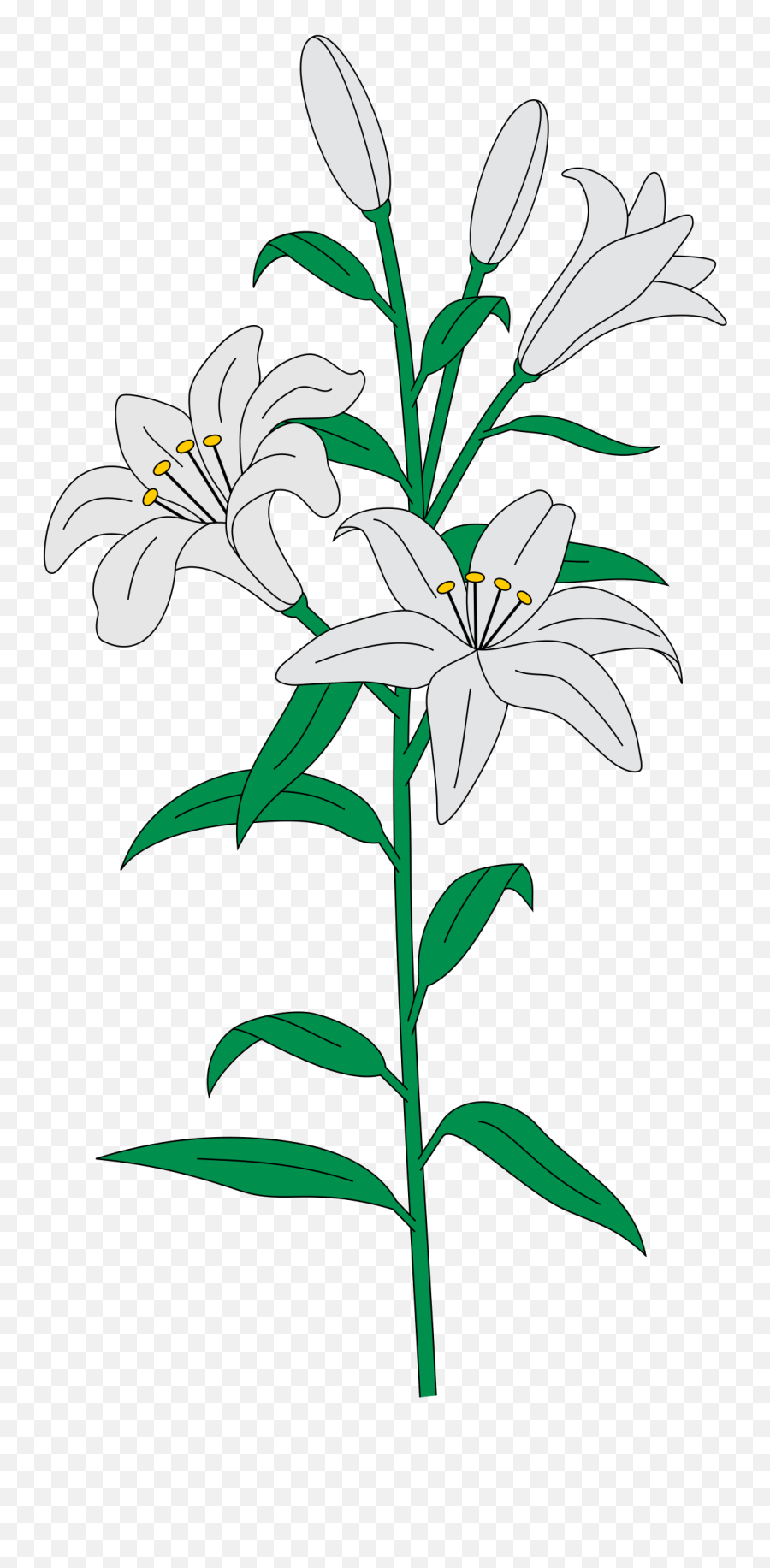 Download Filelilies Heraldrysvg Wikimedia Commons Lily Svg File Png Lilies Png Free Transparent Png Images Pngaaa Com