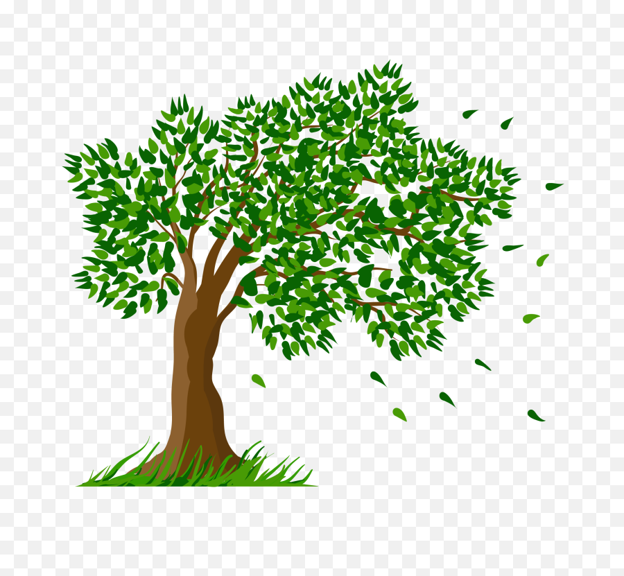 Tree Transparent Clipart Picture - Tree Transparent Clipart Png,Tree Clipart Transparent Background