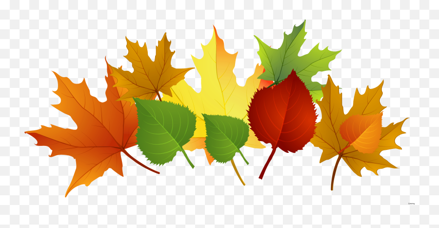 Download Fall Leaves Clipart Png Image - Clip Art Printable Fall Leaves,Leaves Clipart Png
