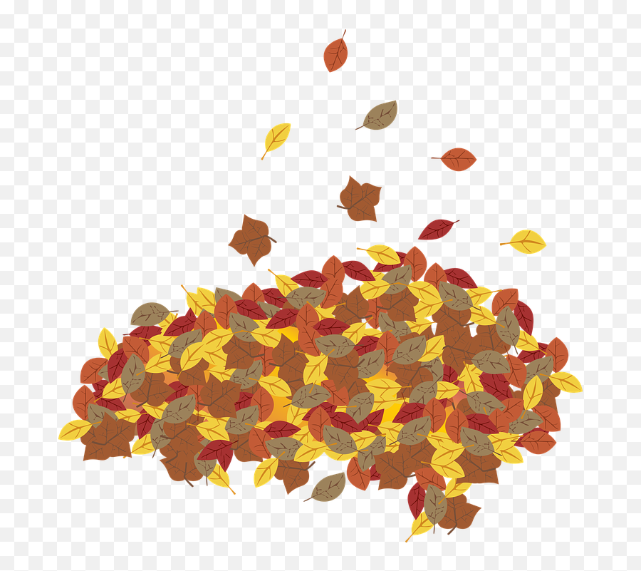 Graphic Leaf Leaves - Free Vector Graphic On Pixabay Autumn Leaves Pile Png,Thanksgiving Leaves Png
